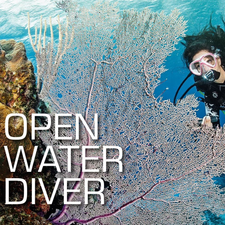 SSI Open Water Course