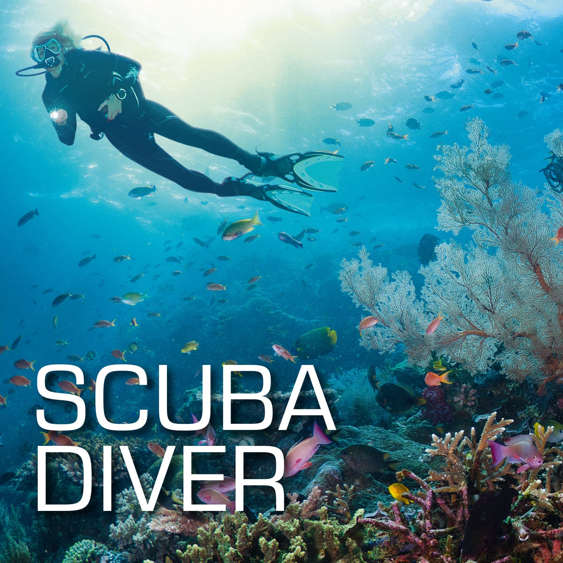 Corso Scuba Diver SSI