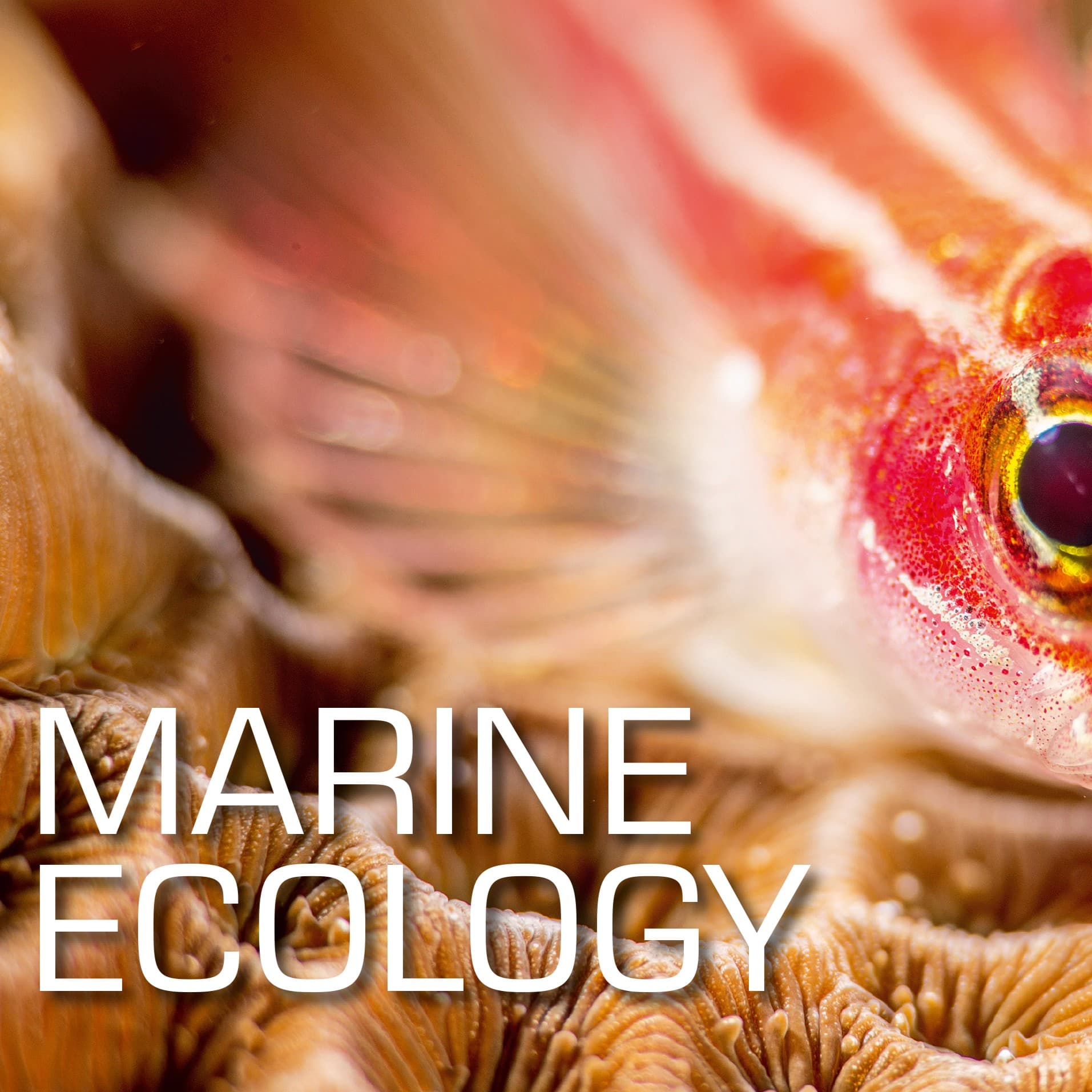 Especialidad ONLINE en Ecología Marina SSI