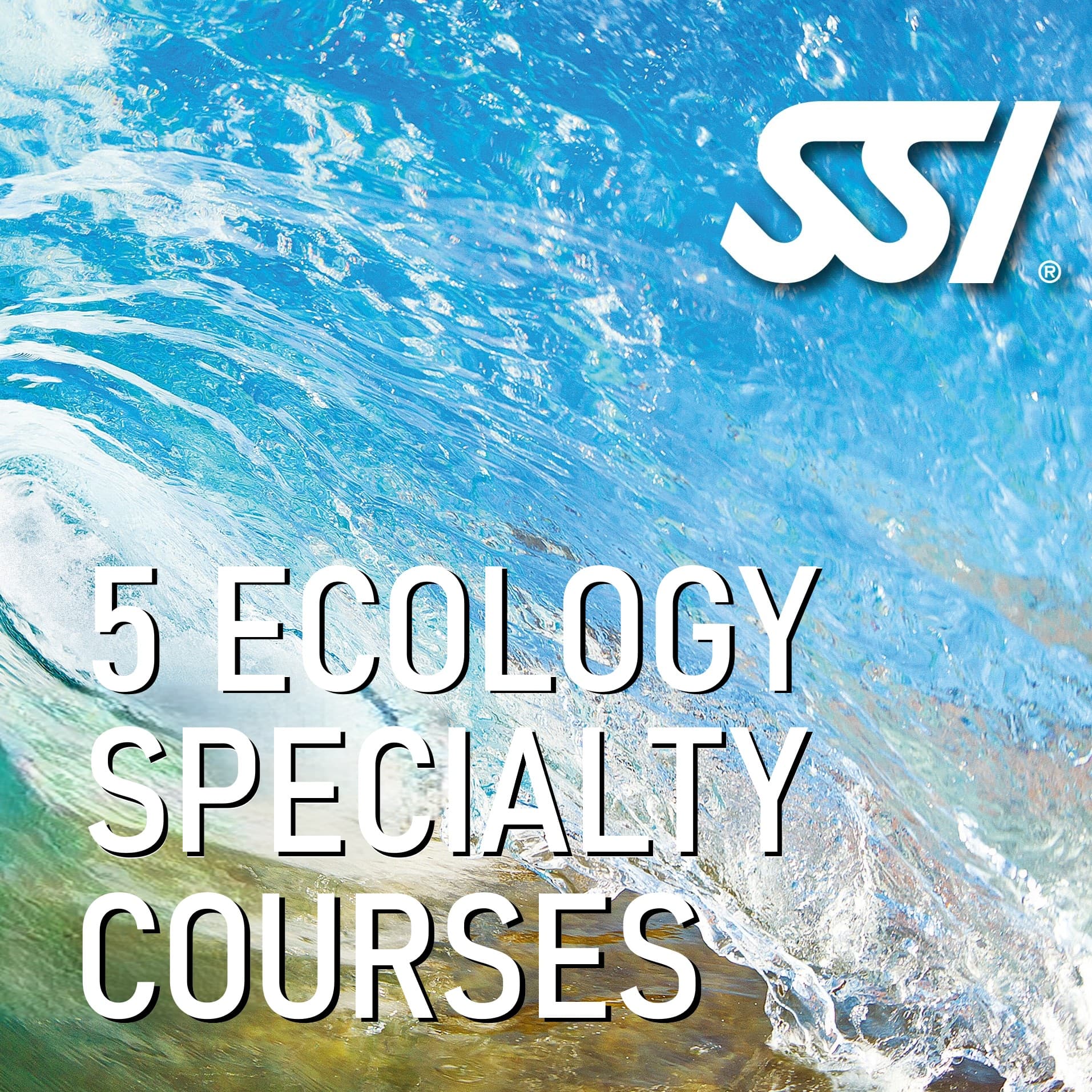 5 x SSI Ecology Specialty ONLINE Courses
