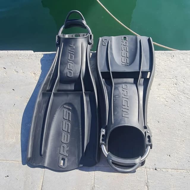 Fins